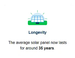 Longevity Longevity